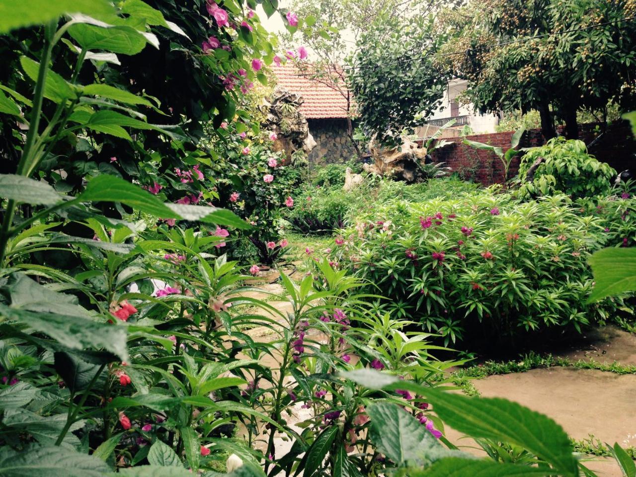 Mr. Viet Home Stay Ninh Binh Zewnętrze zdjęcie