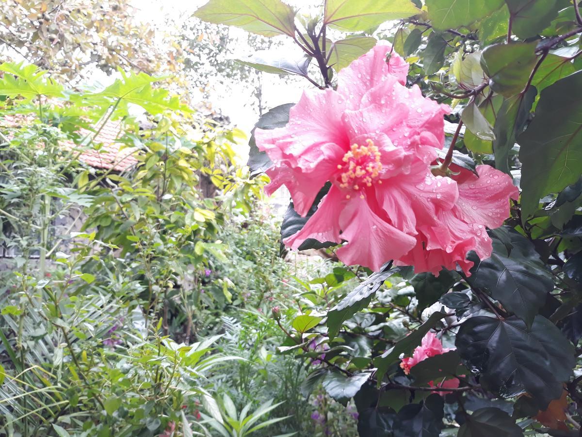 Mr. Viet Home Stay Ninh Binh Zewnętrze zdjęcie