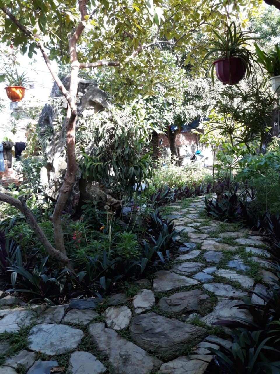 Mr. Viet Home Stay Ninh Binh Zewnętrze zdjęcie