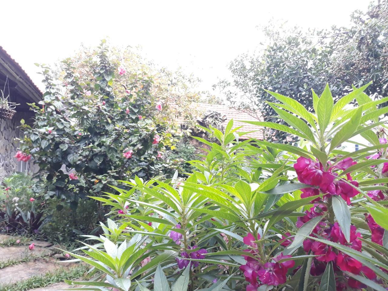 Mr. Viet Home Stay Ninh Binh Zewnętrze zdjęcie
