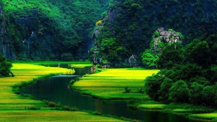 Mr. Viet Home Stay Ninh Binh Zewnętrze zdjęcie