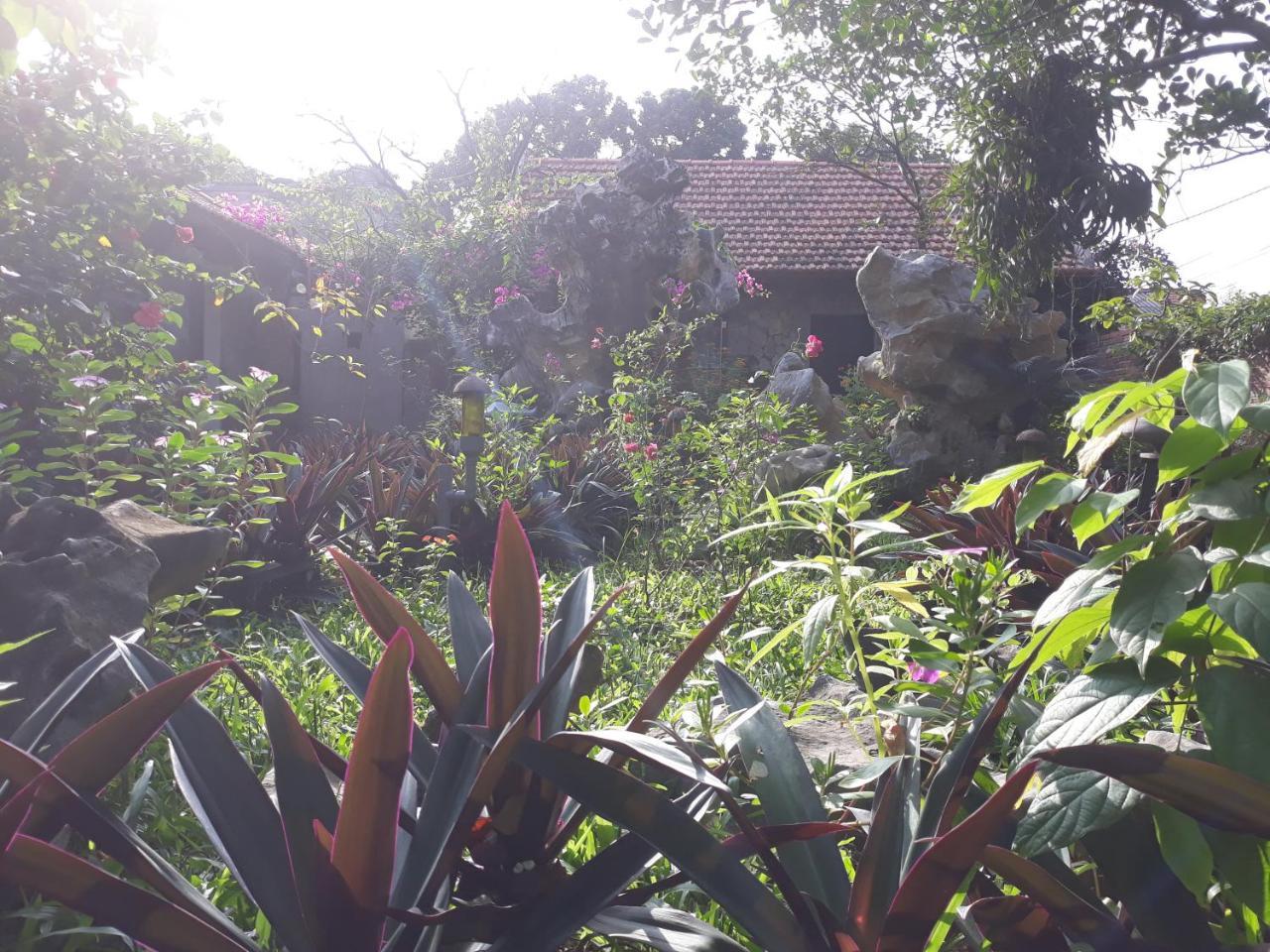 Mr. Viet Home Stay Ninh Binh Zewnętrze zdjęcie