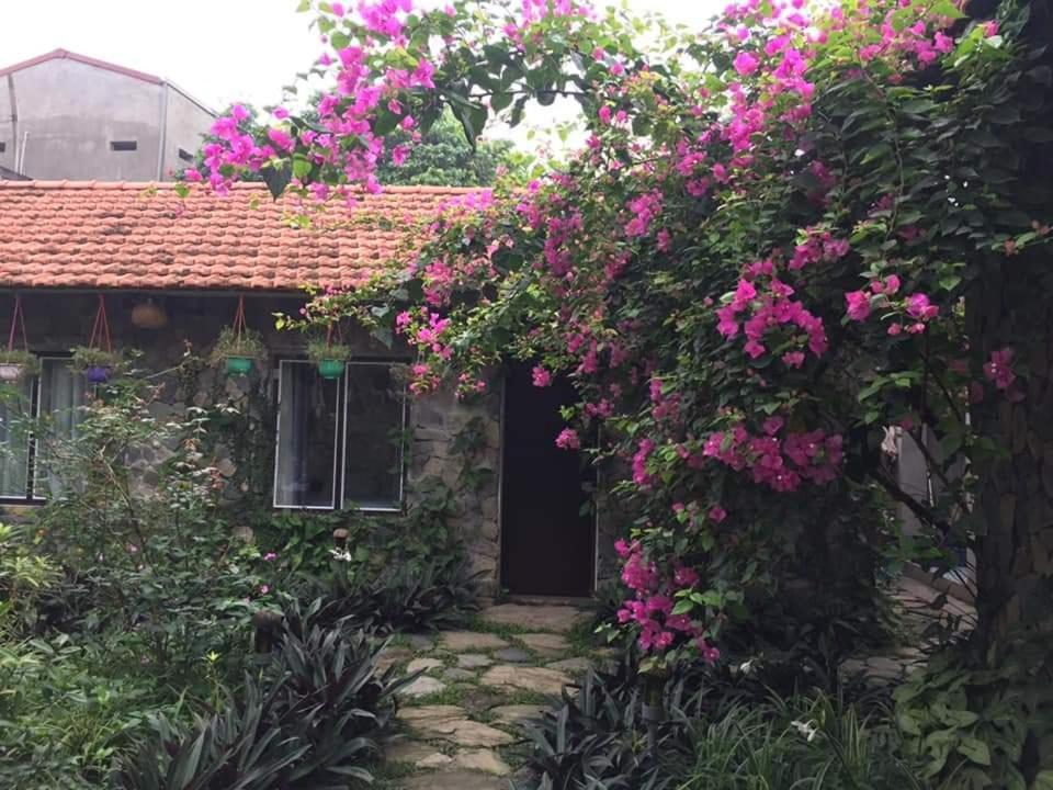 Mr. Viet Home Stay Ninh Binh Zewnętrze zdjęcie