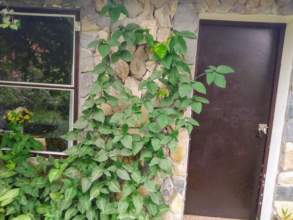 Mr. Viet Home Stay Ninh Binh Zewnętrze zdjęcie