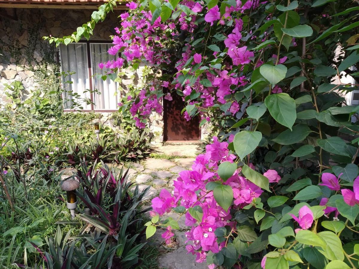 Mr. Viet Home Stay Ninh Binh Zewnętrze zdjęcie